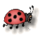 Click the ladybug to see what I have adopted!