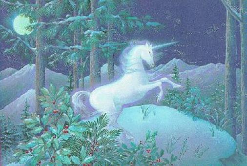 Obrázek “http://www.elysiumgates.com/~mamawolf/kim/tn09-hollyuni.jpg” nelze zobrazit, protože obsahuje chyby.