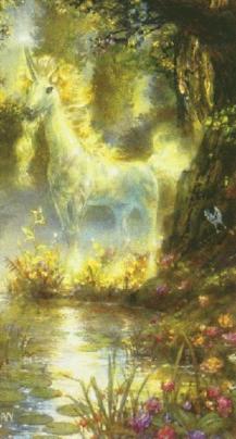 Obrázek “http://www.elysiumgates.com/~mamawolf/kim/tn38-un02.jpg” nelze zobrazit, protože obsahuje chyby.