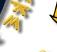 Bibliotheke Oracles Title Graphic