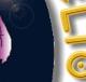 Bibliotheke Torch Bearer Title Graphic