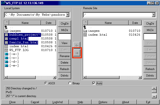 Main WS_FTP Window