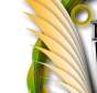 Historia Award Title Graphic