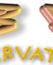 Observatory Contest Title Graphic