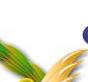 Stoa Award Title Graphic