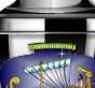 Stoa Award Title Graphic