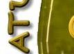 Stoa Featured Site Graphic