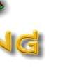 Stoa Web Ring Title Graphic