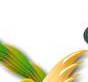 Taverna Award Title Graphic
