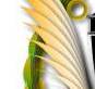 Taverna Award Title Graphic