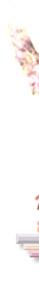 blank graphic