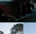 photos of runner cavalcade