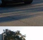 photos of runner cavalcade