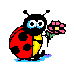 animated ladybug