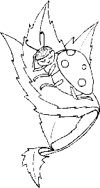 The Ladybug Kid - Color